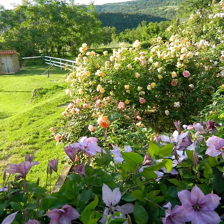 Daire The Hug Of Nature Dekani