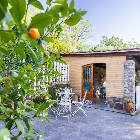 The Hug Of Nature Appartement *