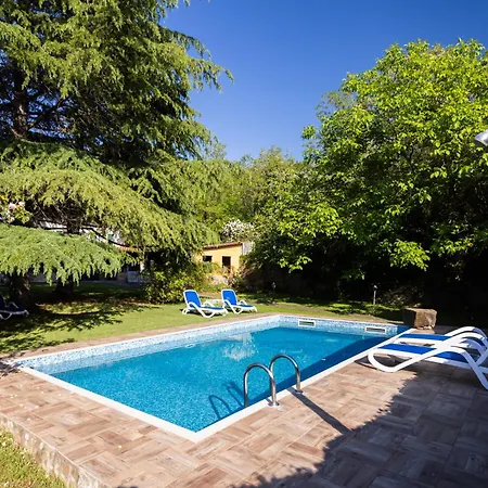 Apartamento The Hug Of Nature *