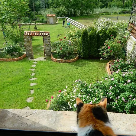 Appartement The Hug Of Nature