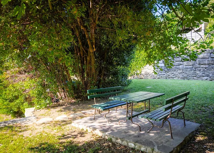 The Hug Of Nature Daire