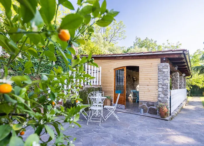 The Hug Of Nature Daire *