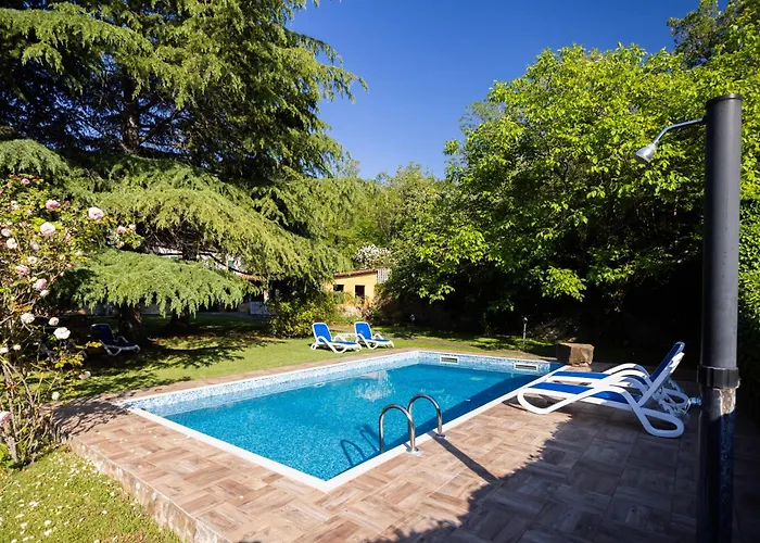 Daire The Hug Of Nature *