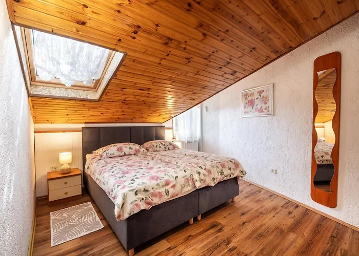 Daire The Hug Of Nature Dekani